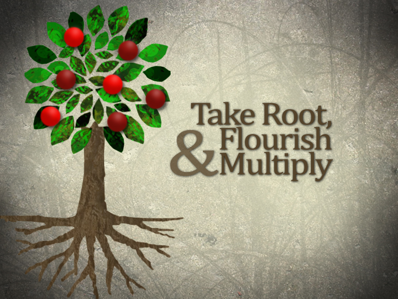 Biblical graphic illustrating the command to be fruitful and multiply from Genesis 1